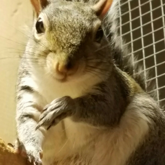 Meet your Posher, Mikat - Picture 5 of 6